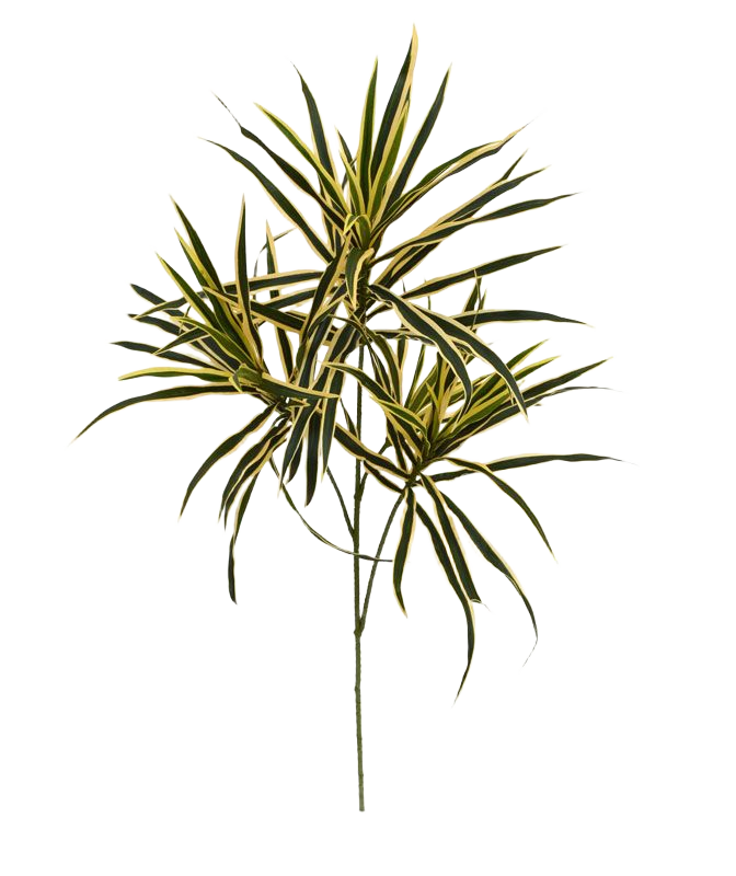 Draceana kunsttak 80cm - bont