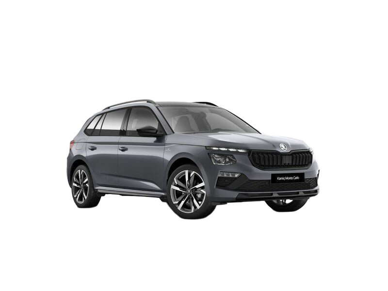 Skoda Kamiq occasion