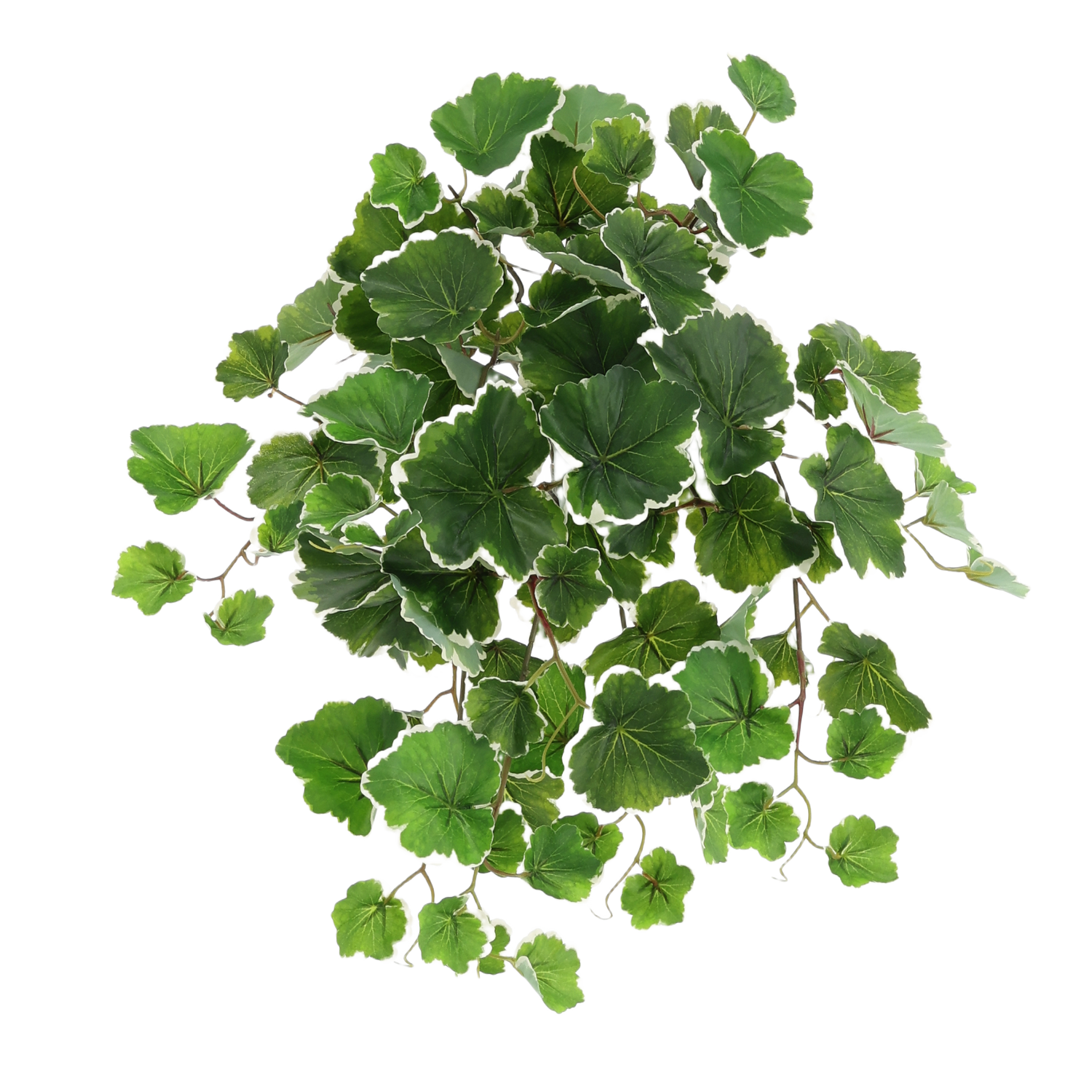 Saxifraga Kunsthanger 50cm bont