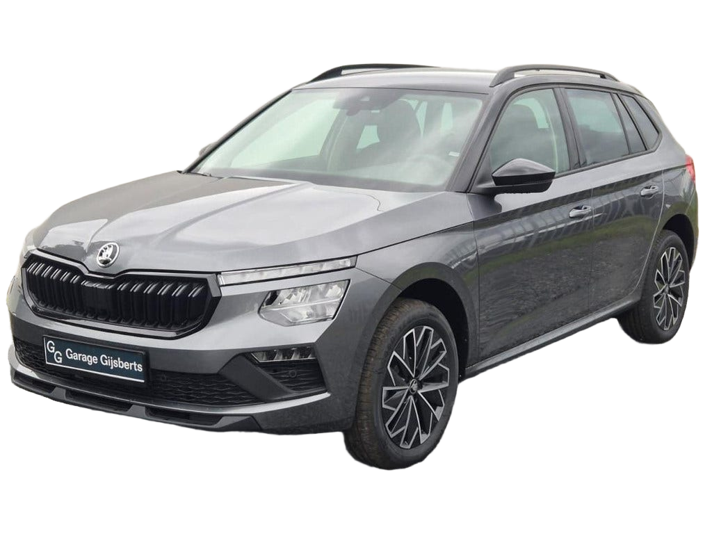 Skoda Kamiq occasion