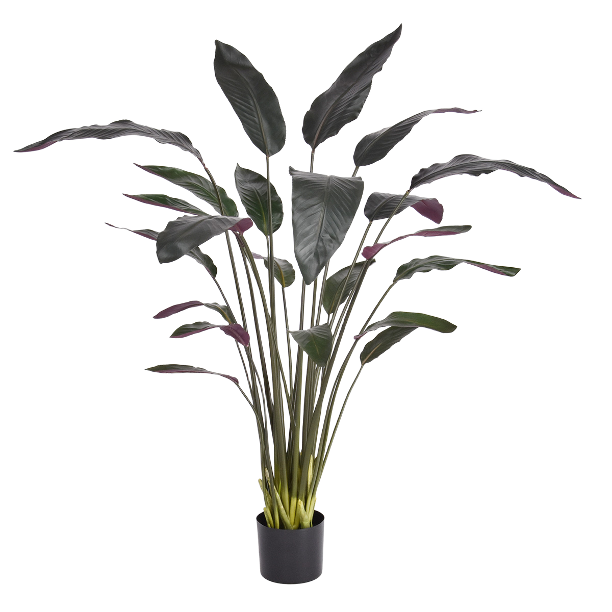 Red Calathea Luthea Kunstplant 140cm