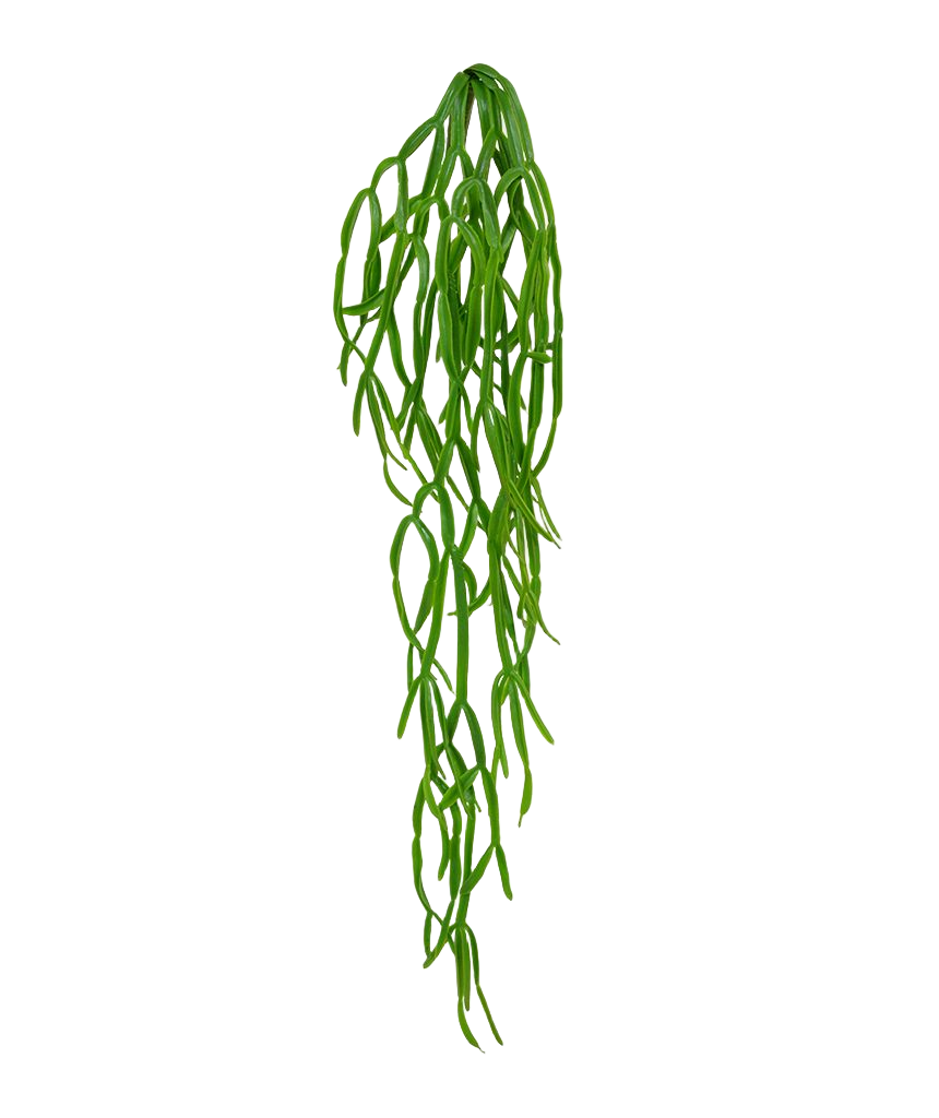 Rhipsalis Paradoxa kunst hangplant 75cm afbeelding 1