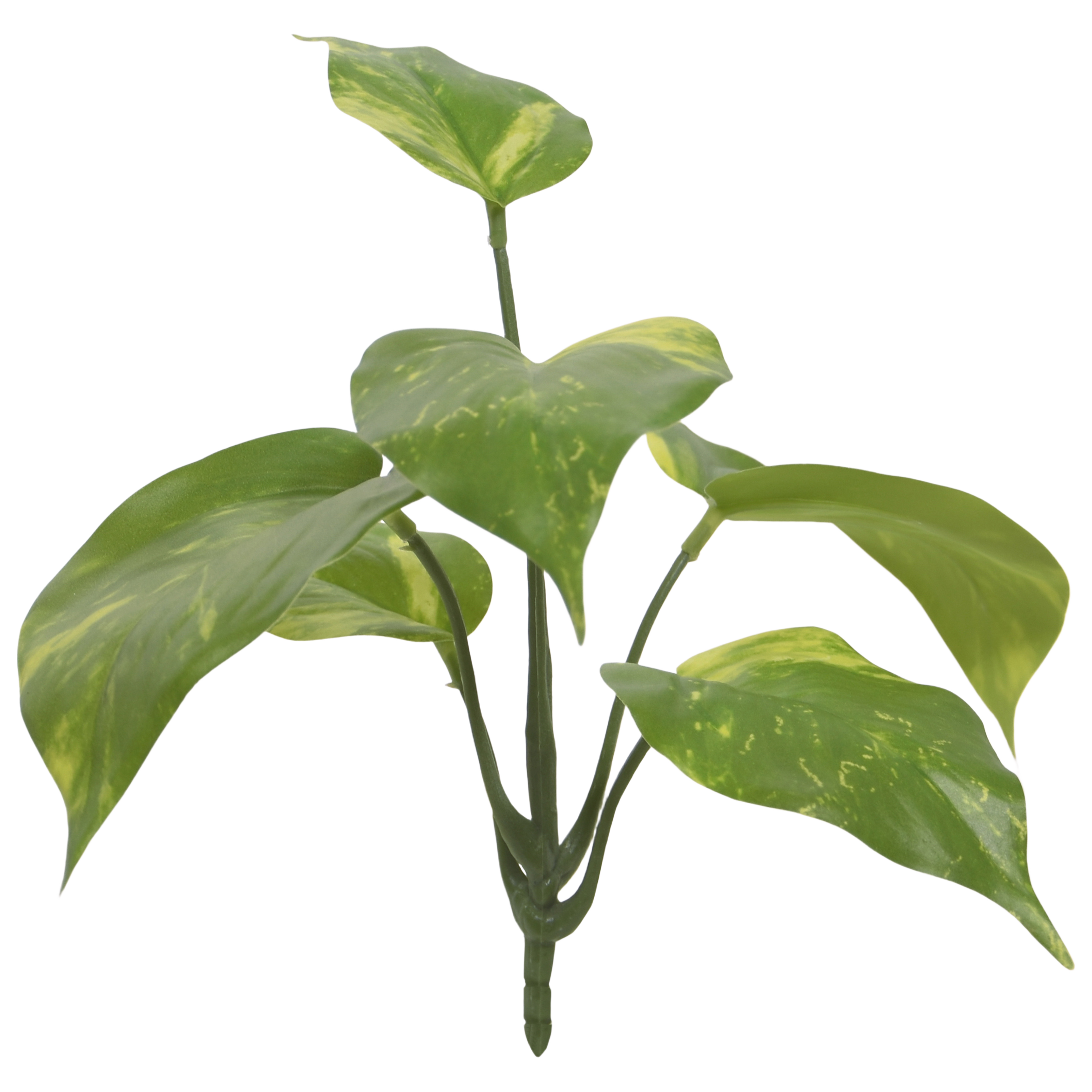 Pothos kunstplant bont 20cm