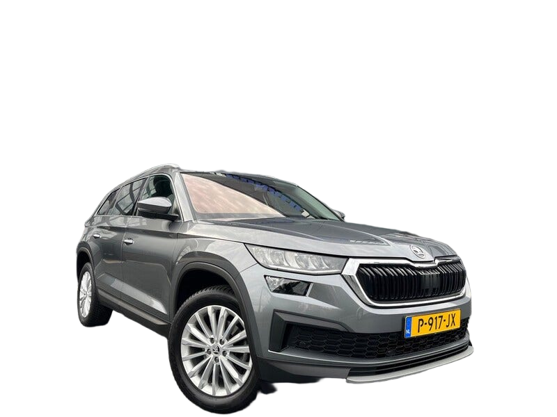 Skoda Kodiaq occasion
