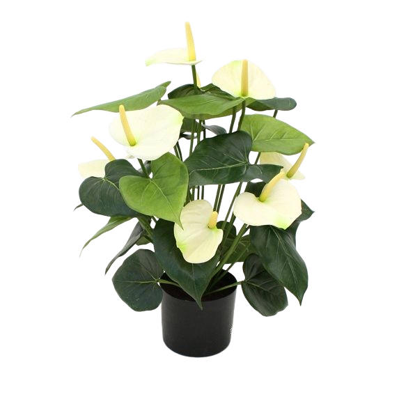 Anthurium deluxe kunstplant 50cm - creme