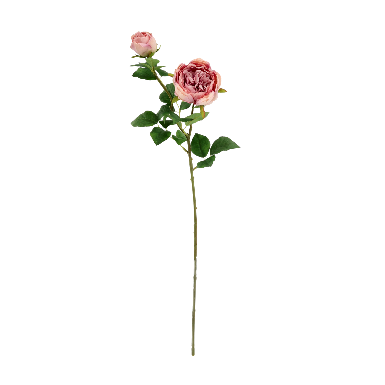 Engelse Tuinrozen Kunsttak 69cm Paars