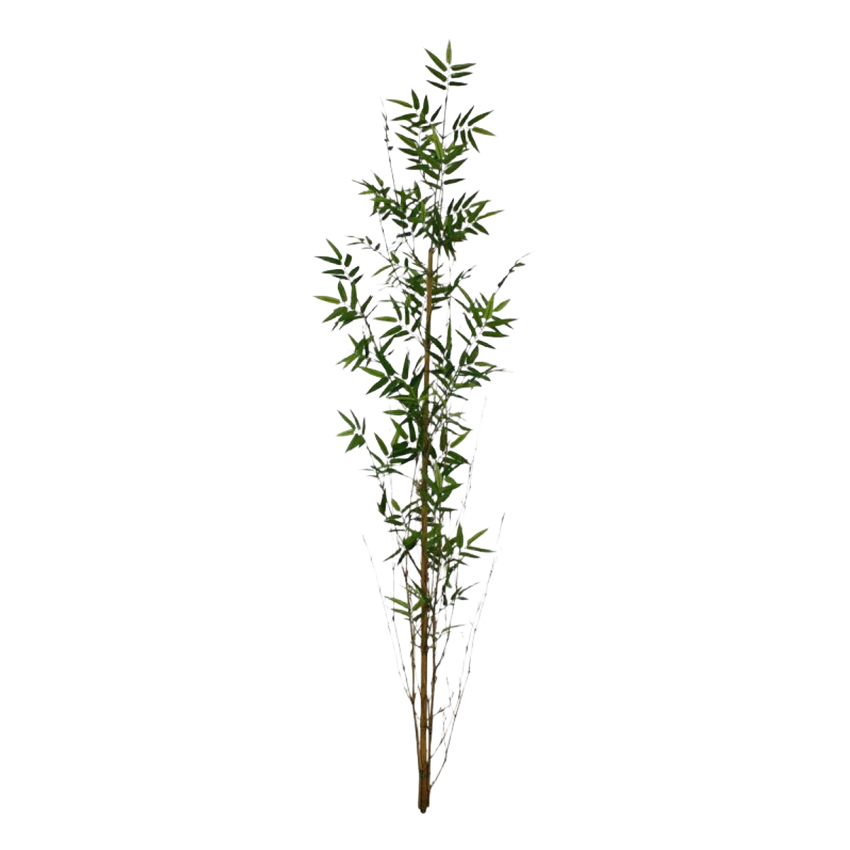 Oriental Bamboe kunsttak recht 150cm