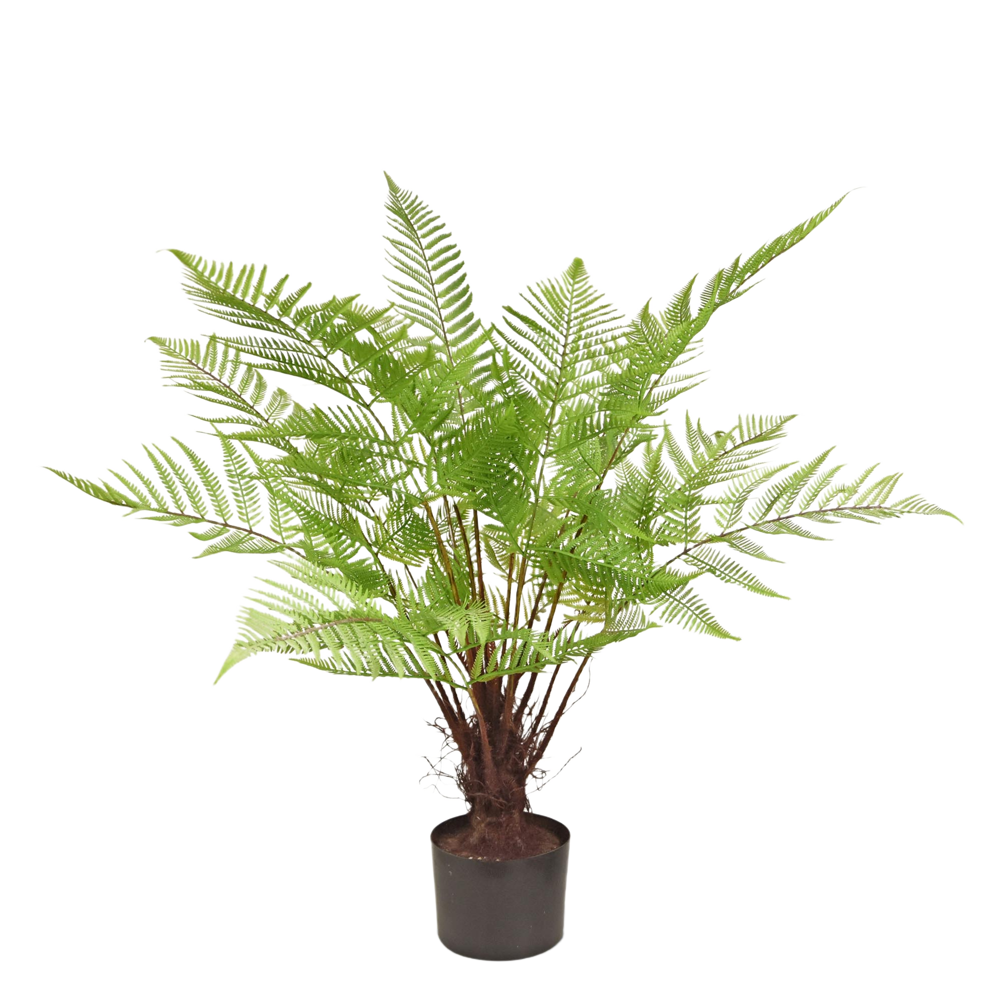 Bosvaren kunstplant 80cm