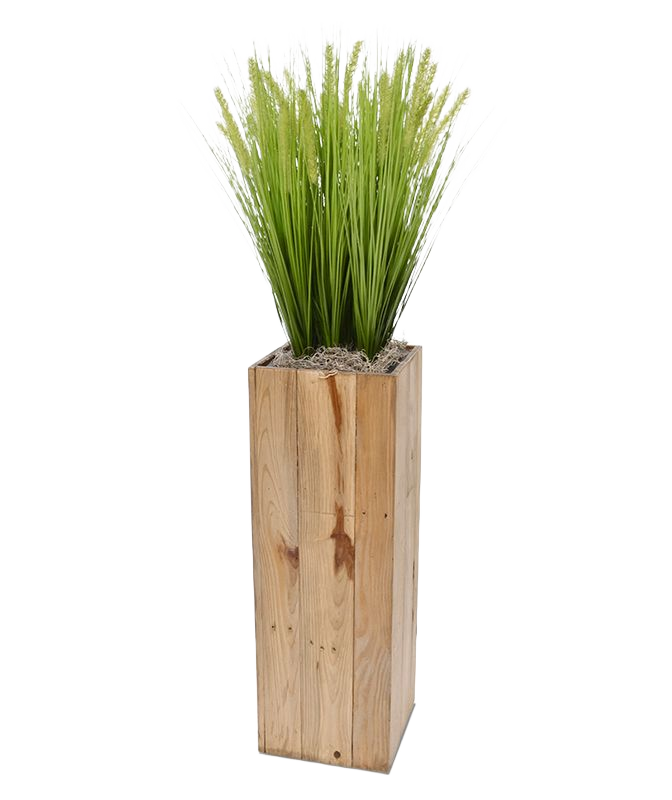 Pennisetum kunstgras x9 in Maronne High Cube 24x72