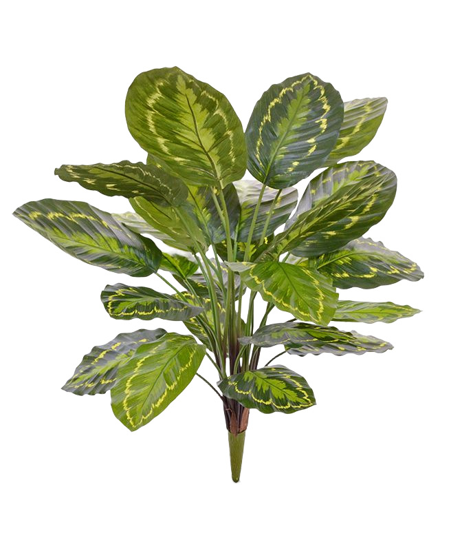 Calathea Roseopicta kunstplant 65 cm boeket