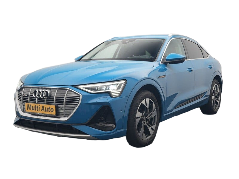 Audi e tron occasion
