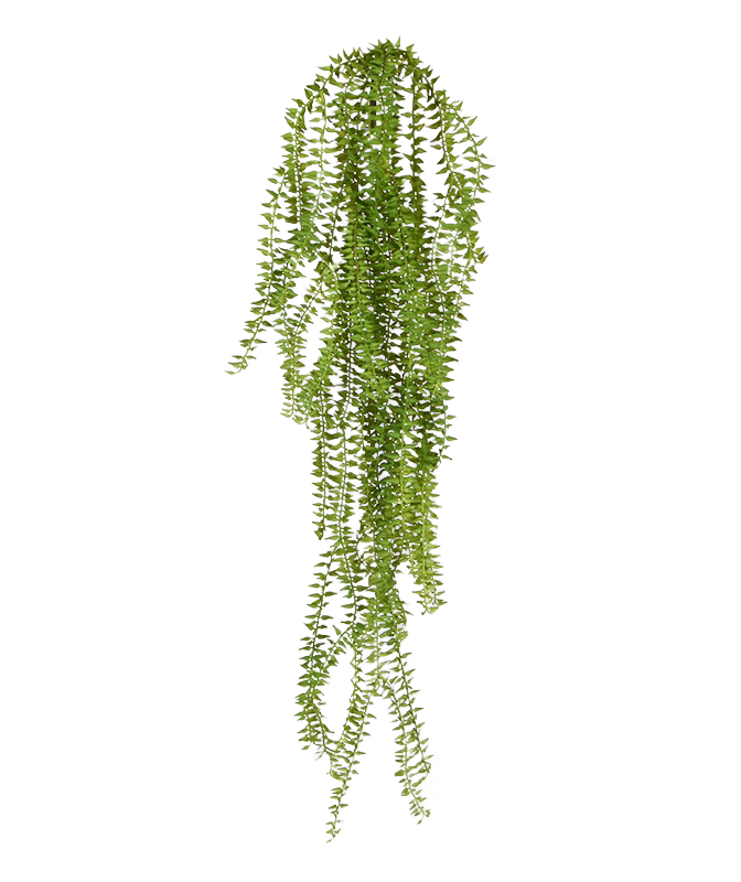 Huperzia kunst hangplant 75cm