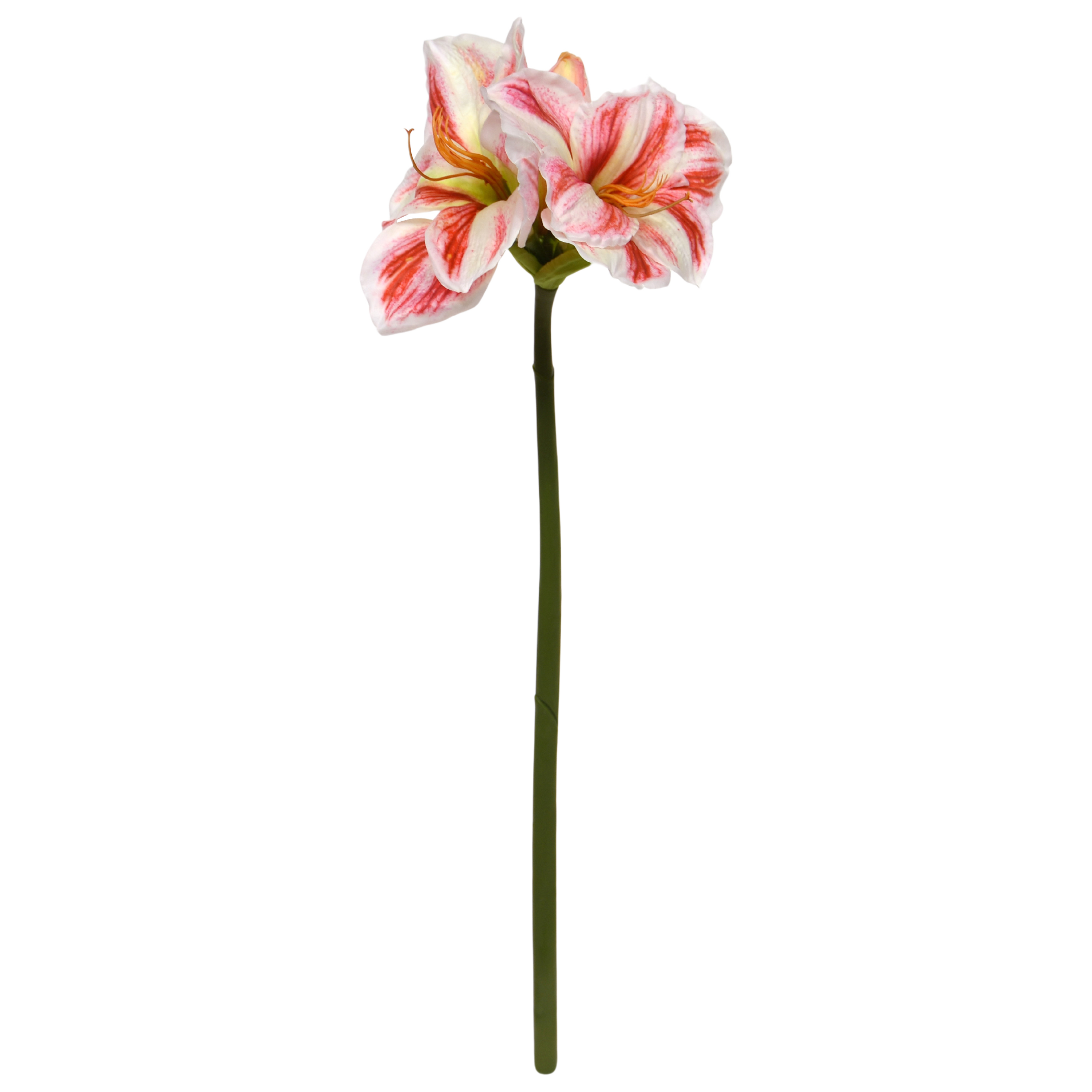 Amaryllis Kunstbloem 67cm Wit Rood