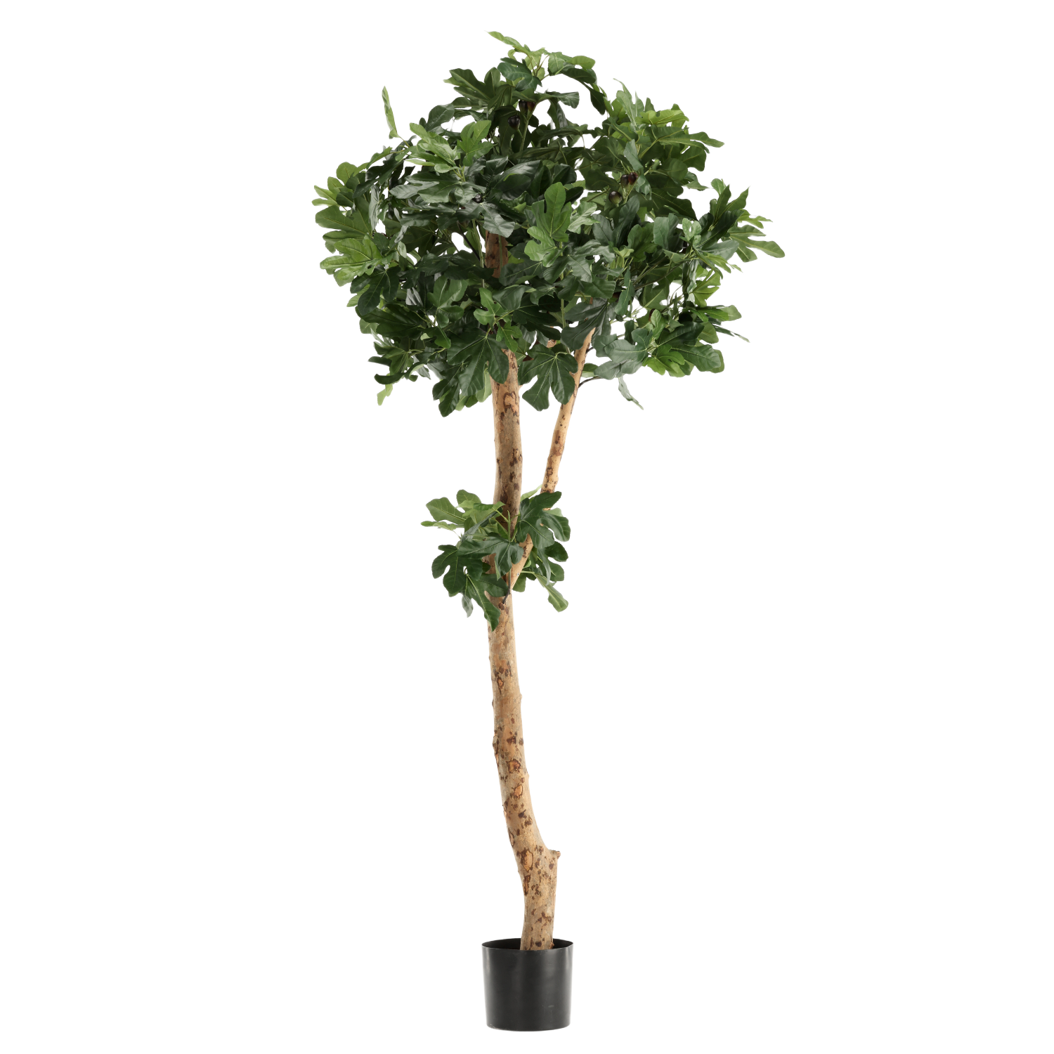 Vijgen Kunstboom Deluxe 210cm