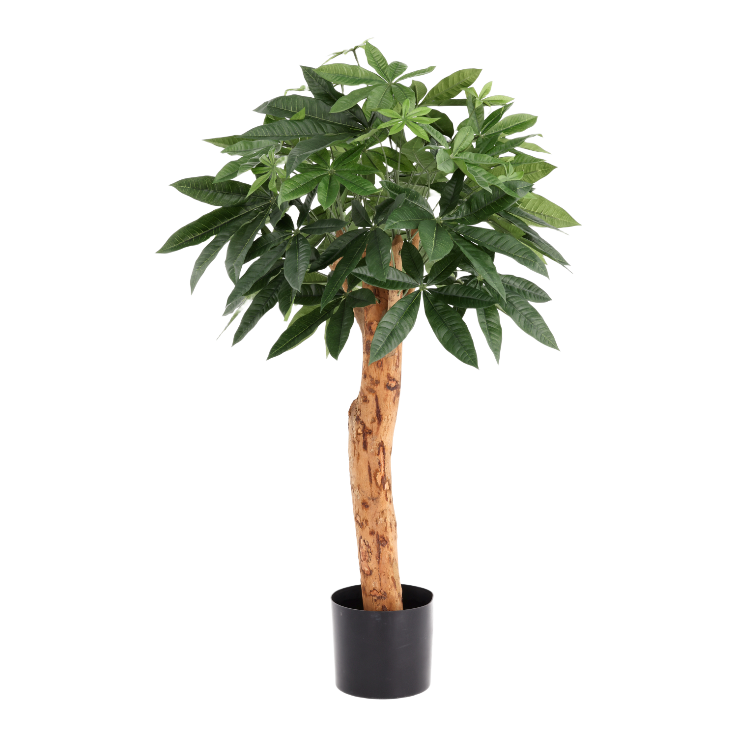 Pachira Kunstplant Deluxe 100cm