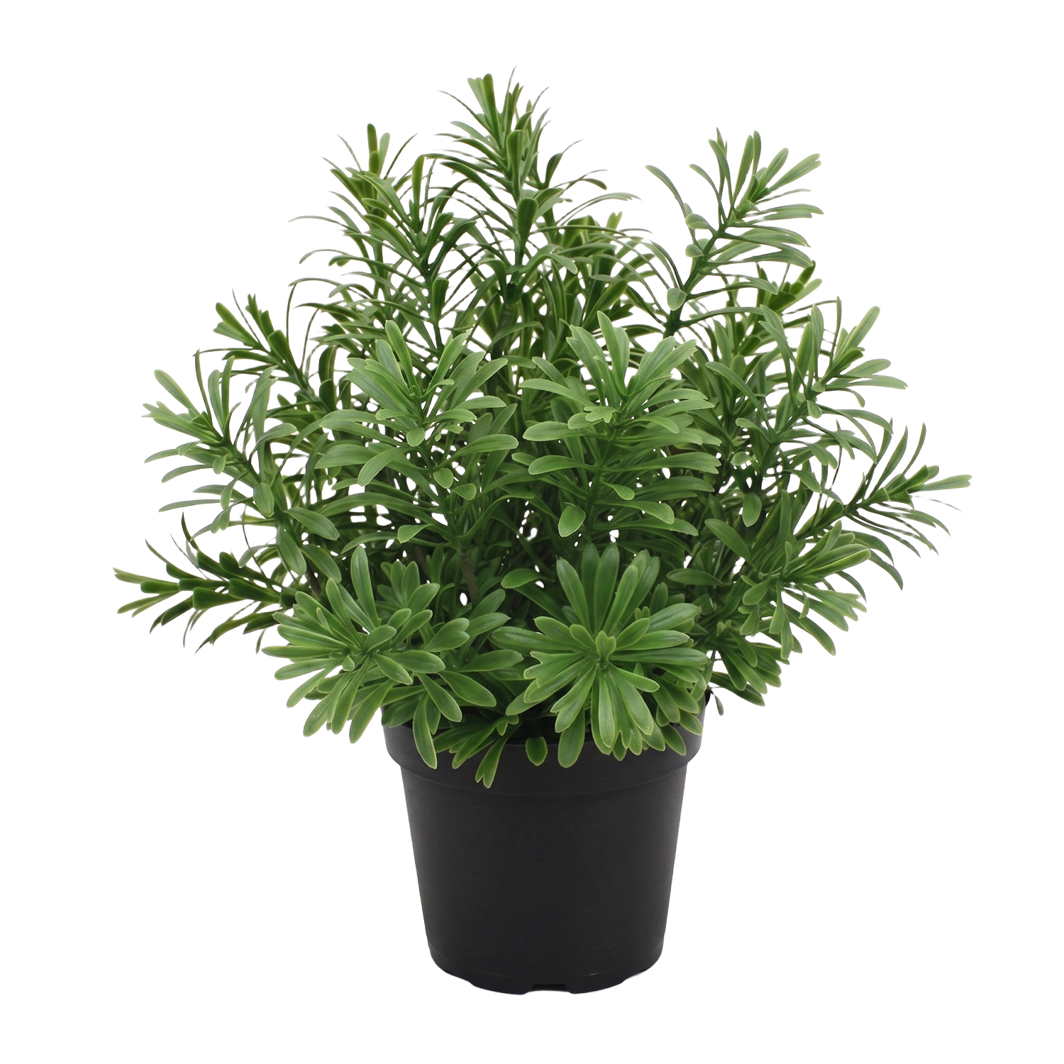 Crossostephium kunst vetplant in plastic pot 28cm