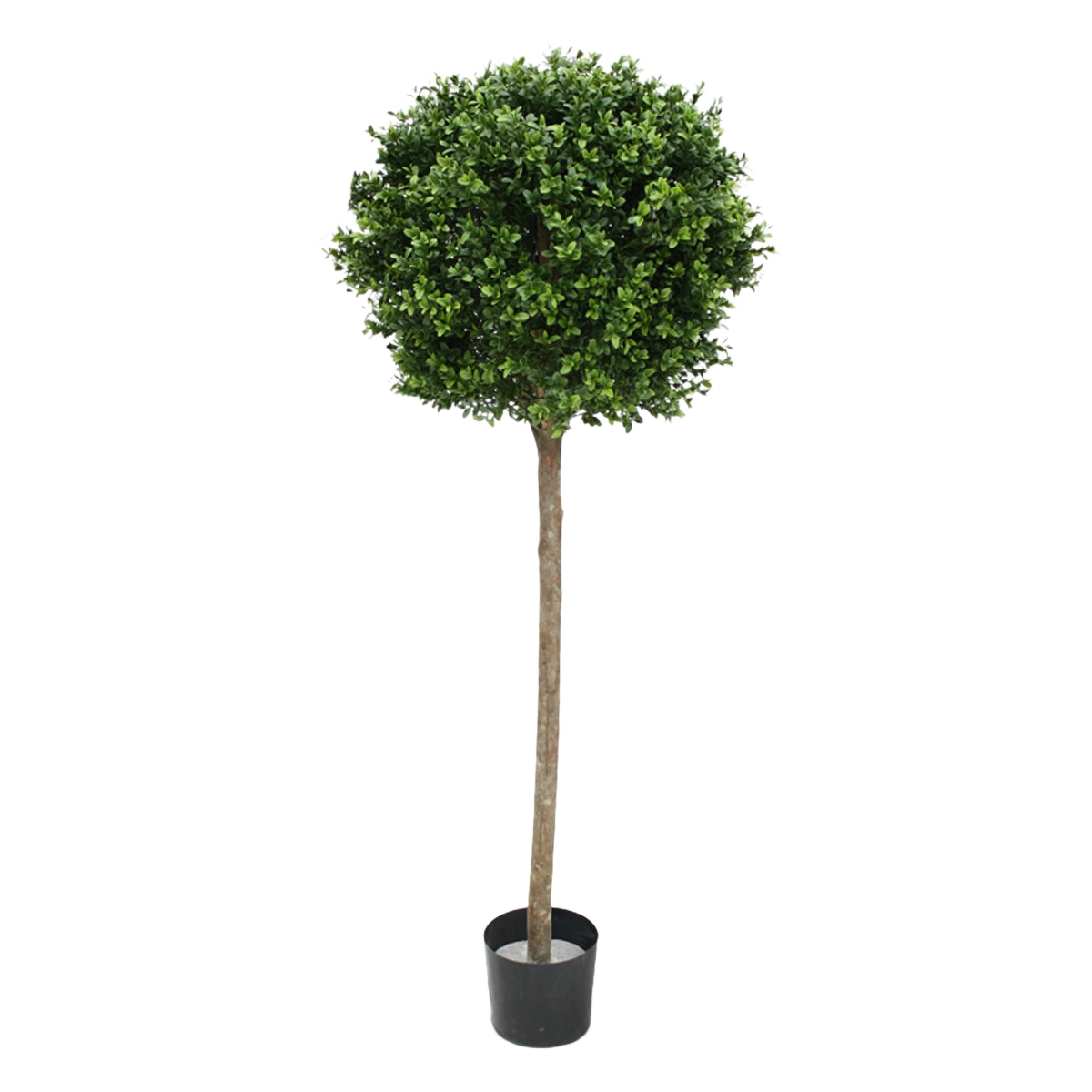 Buxus bol op stam kunstplant 140cm - UV bestendig