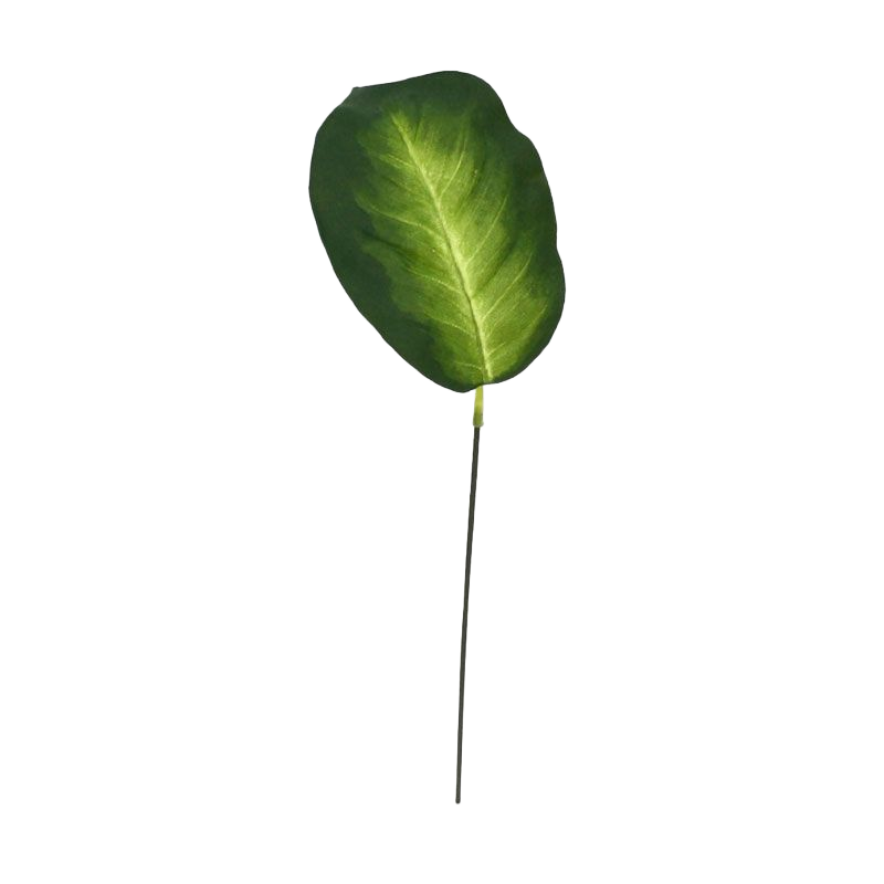 Dieffenbachia kunstblad