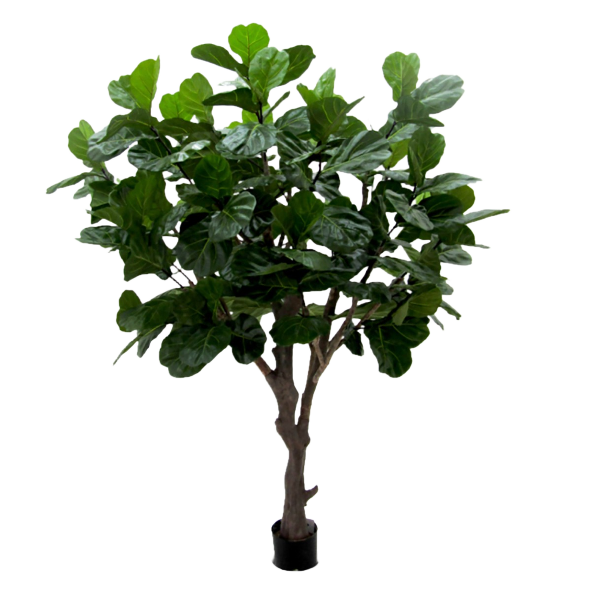 Lyrata Giant deluxe kunstboom 260cm