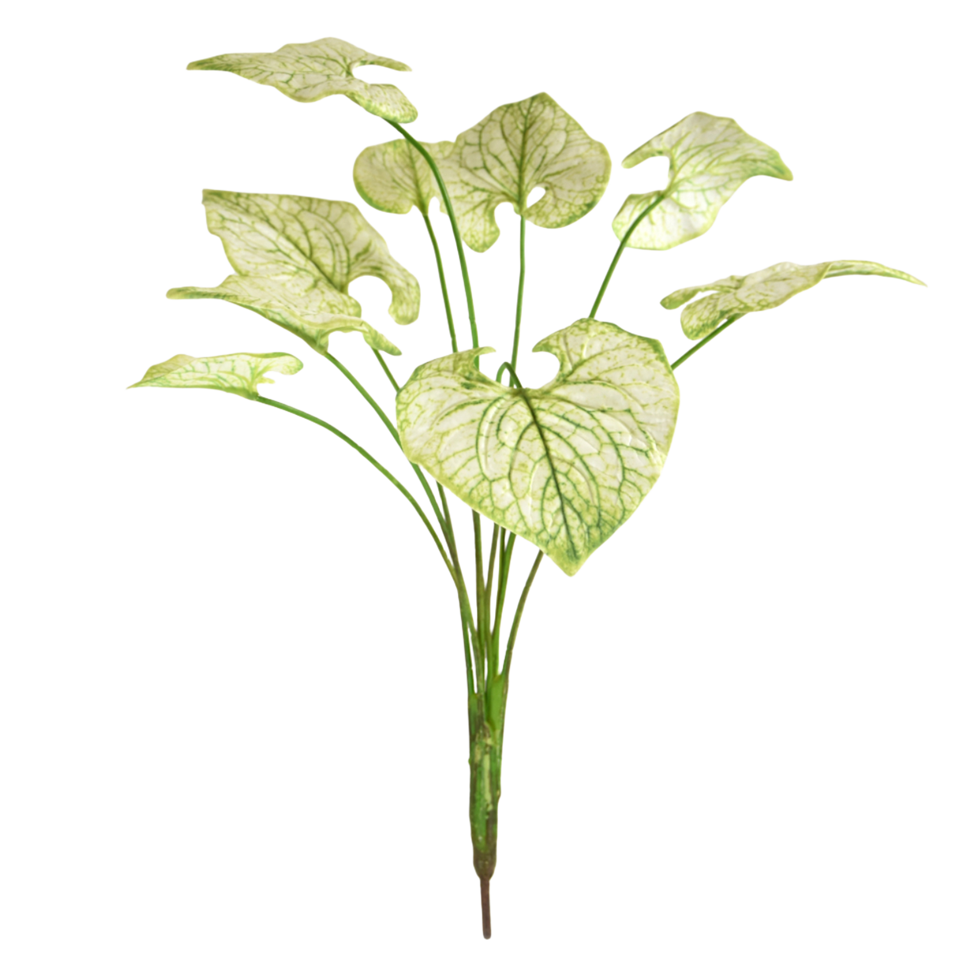 Brunnera kunstplant 55cm - creme/groen