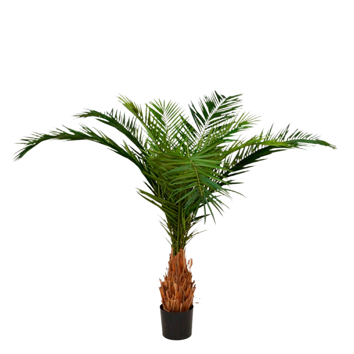 Canarie Phoenix kunstpalm deluxe 210 cm