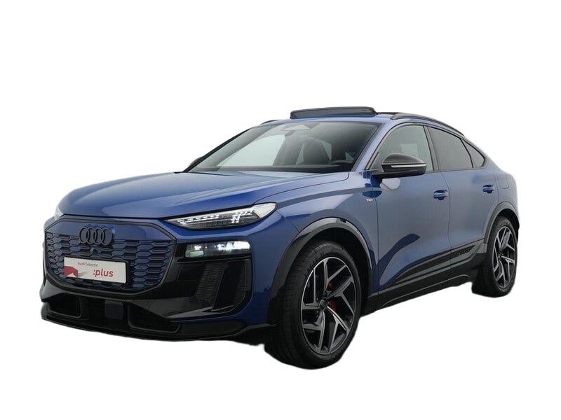 Audi Q6 e tron occasion