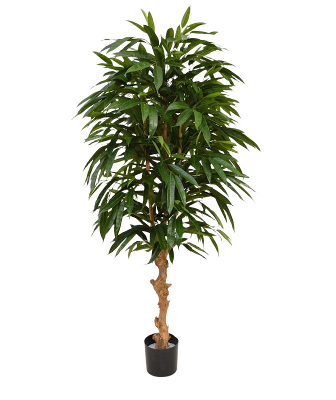 Longifolia Royal deluxe kunstboom 165cm