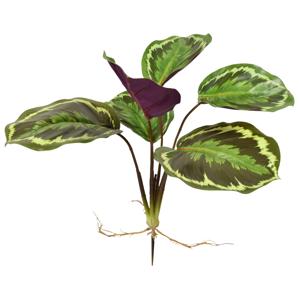 Calathea Ornata kunstplant 25cm