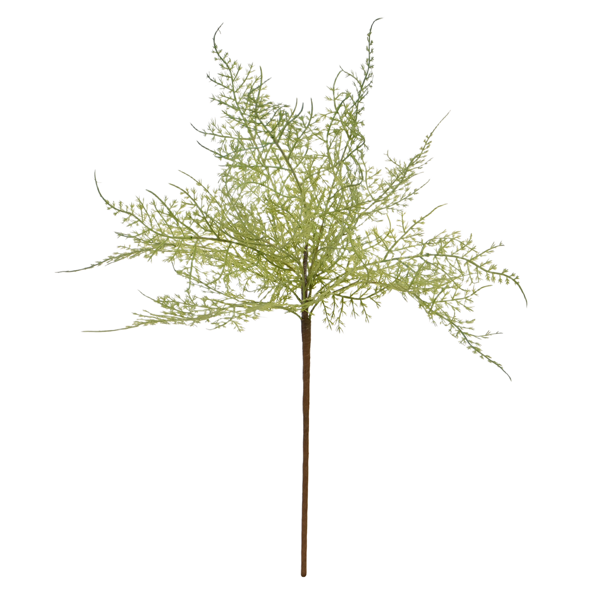 Asparagus Kunst tak 45cm grijs/groen