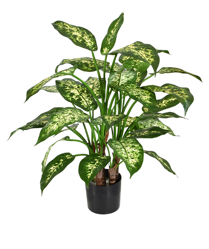 Dieffenbachia deluxe kunstplant 60cm
