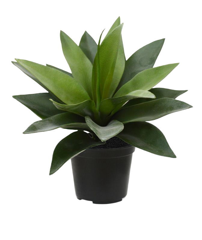 Agave kunstplant 25cm in 10cm pot