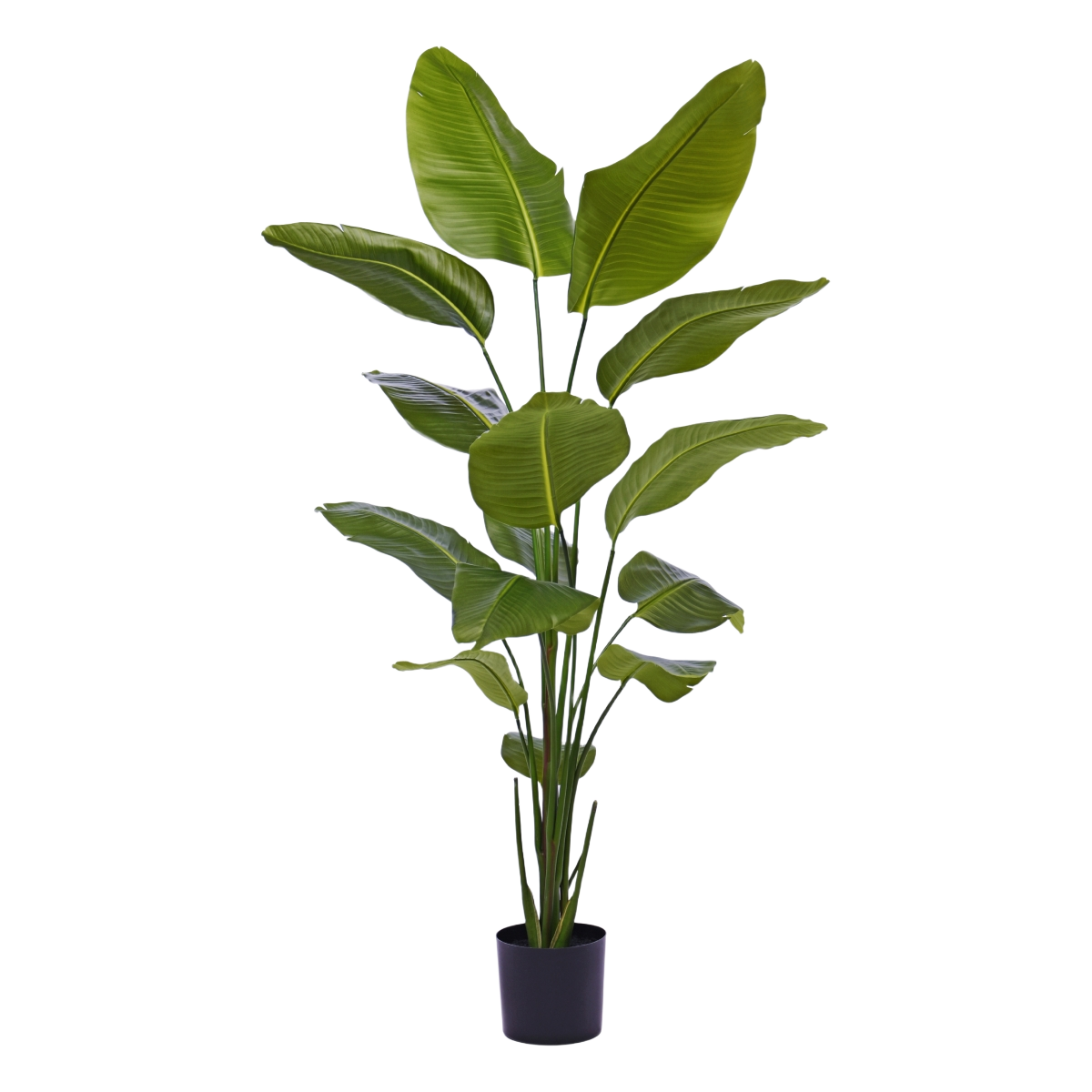 Strelitzia Nicolai kunstplant 175cm