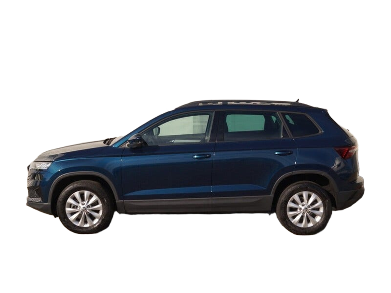 Skoda Karoq occasion