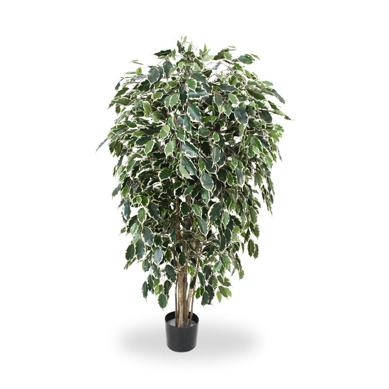 Ficus Exotica deluxe kunstboom 150cm - bont