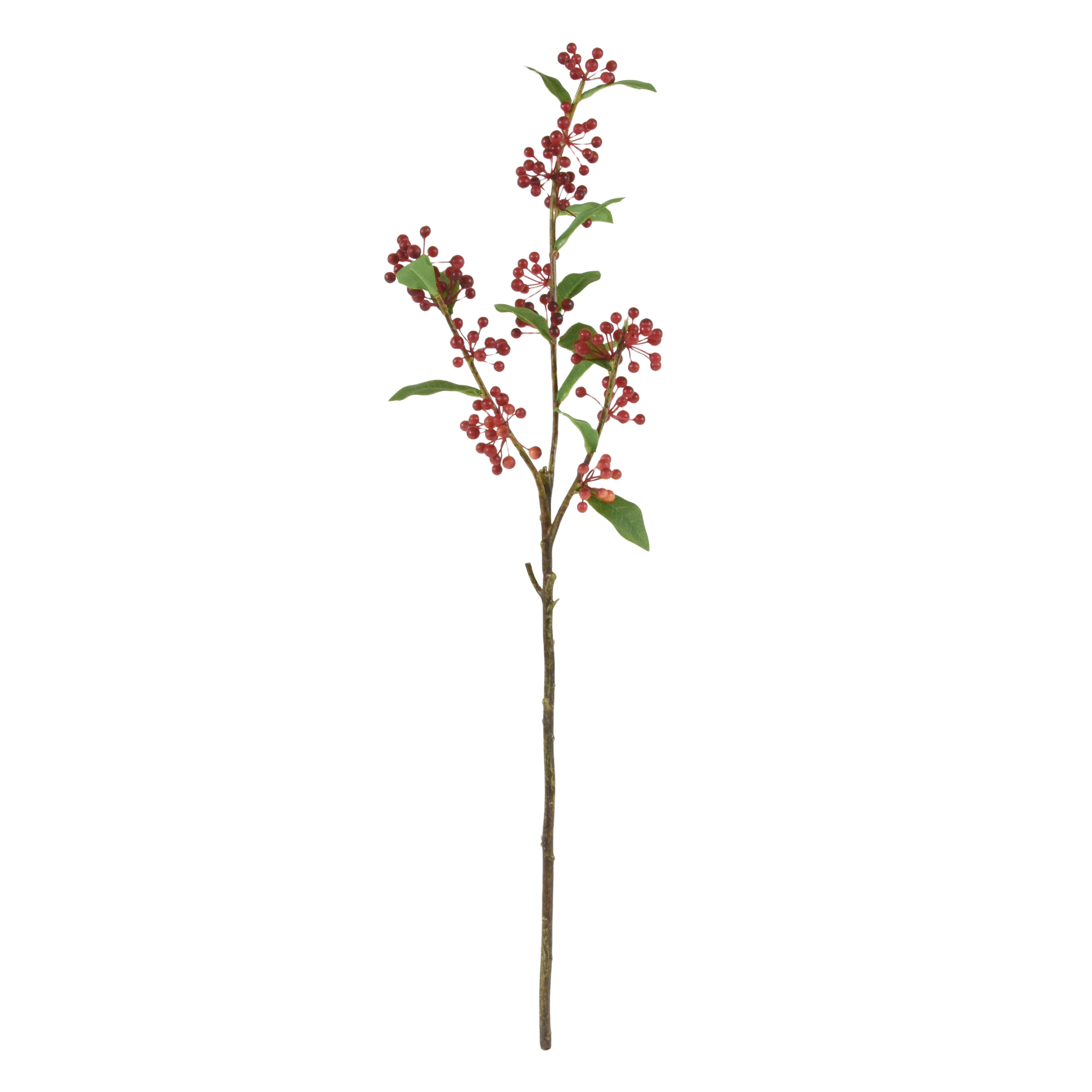 Kunst Malus Sargentii tak 75cm - rood