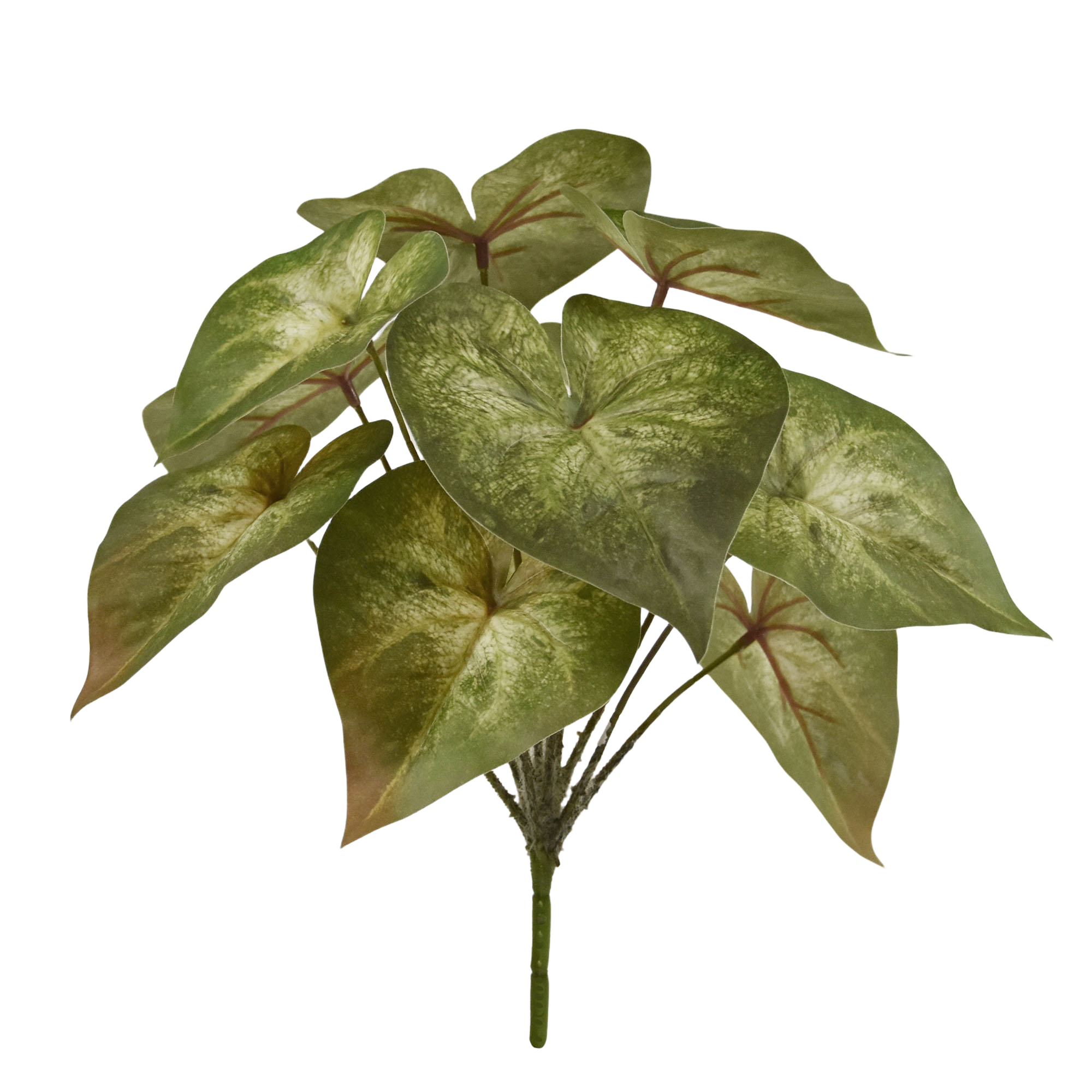 Syngonium Podophyllum Kunstplant 28cm