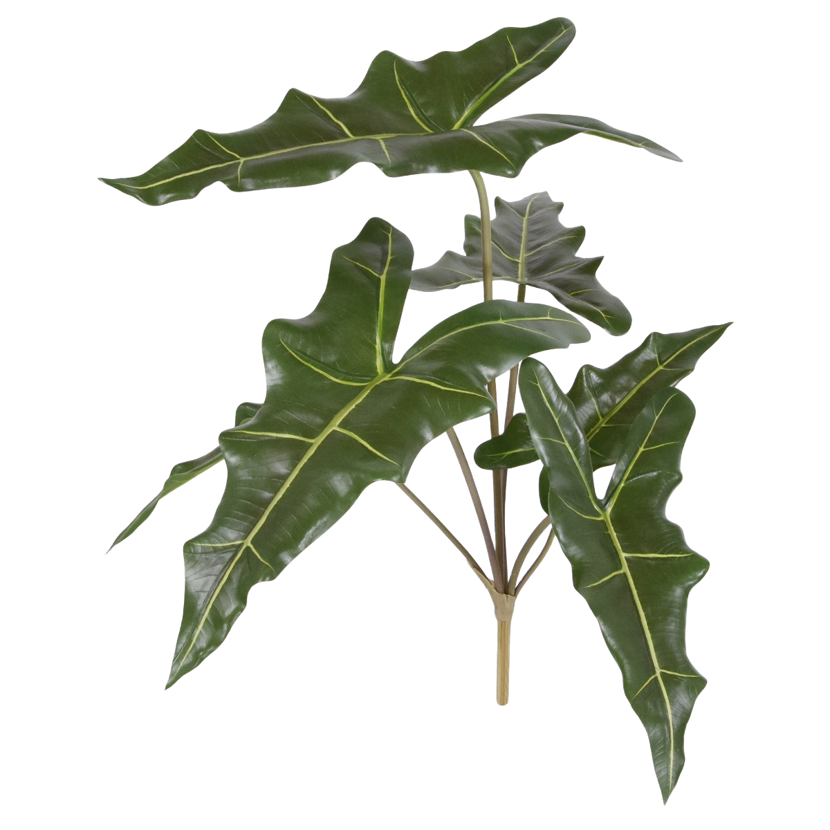 Alocasia Sarian kunstplant 60cm