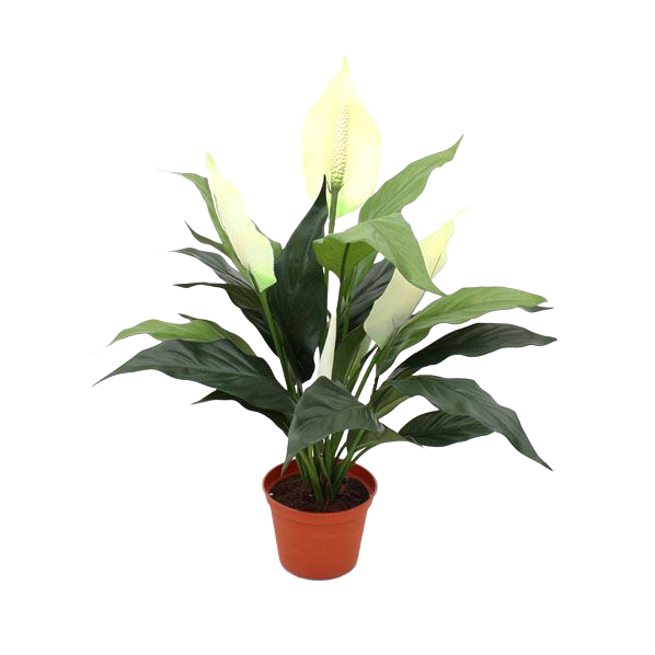 Spathiphyllum kunstplant 50cm
