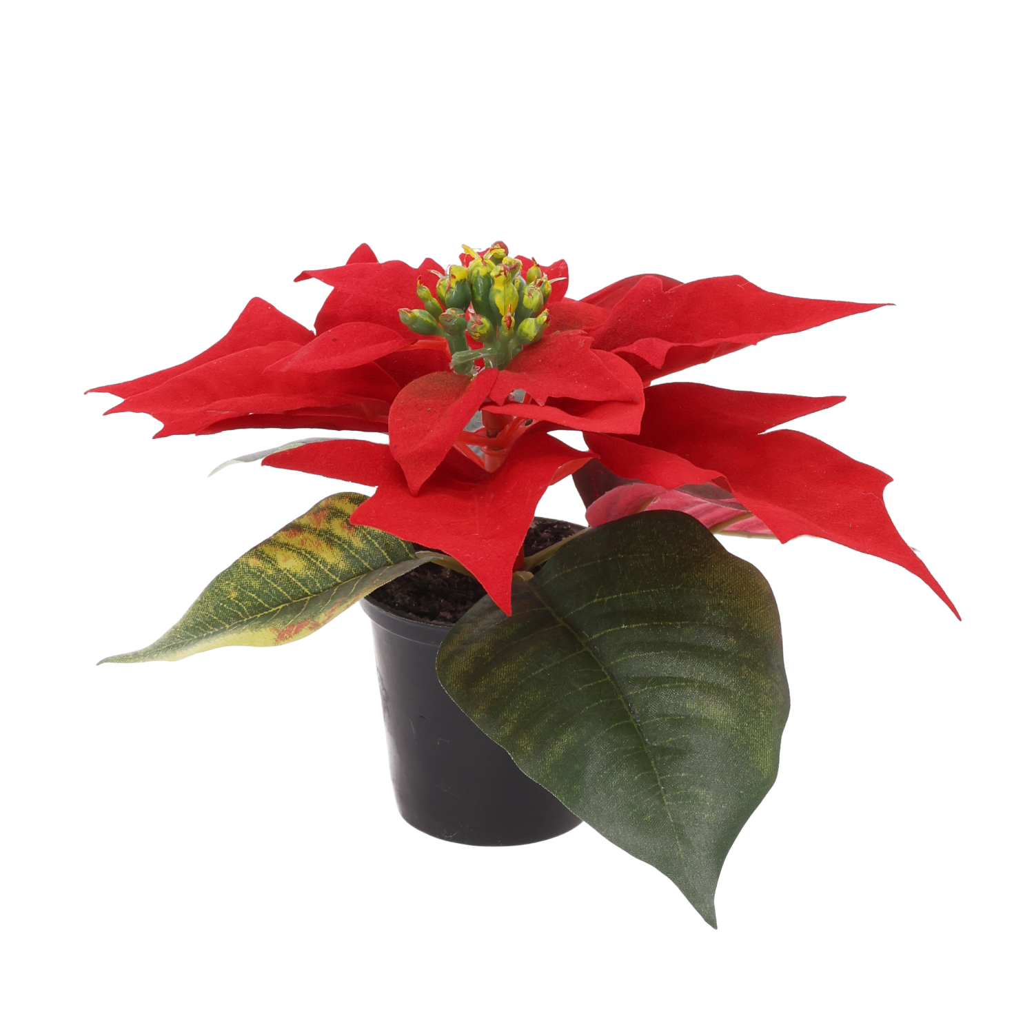 Mini kerstster Poinsettia kunstplant 10cm