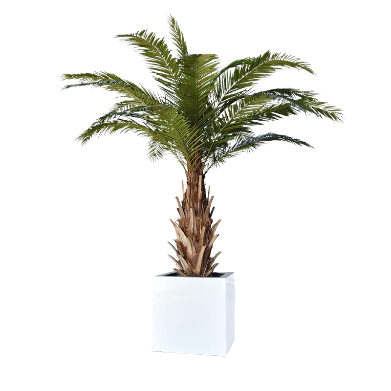 Phoenix Canarie kunstpalm XXL op voet 300cm