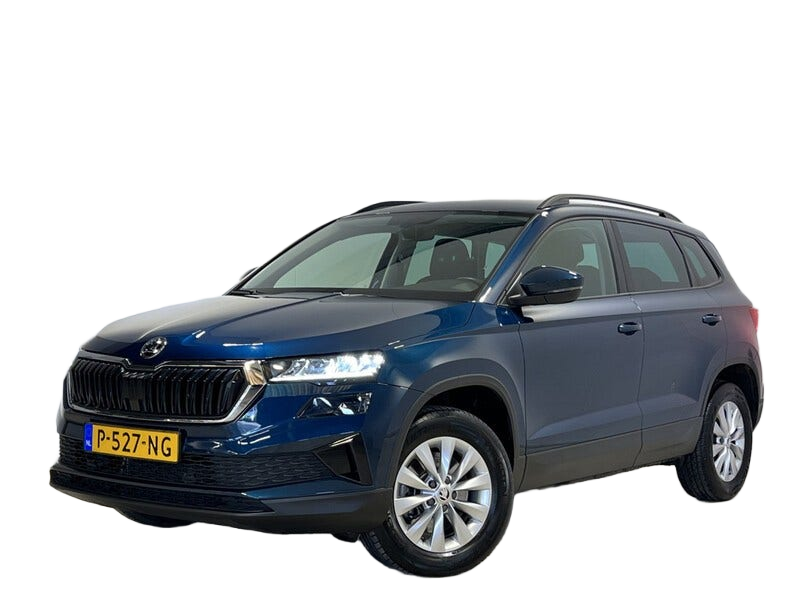 Skoda Karoq occasion