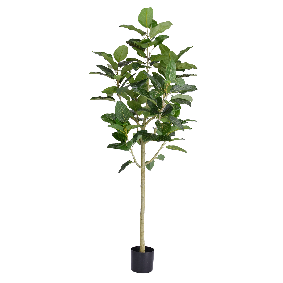 Ficus Audrey Kunstboom RT op stam 205cm