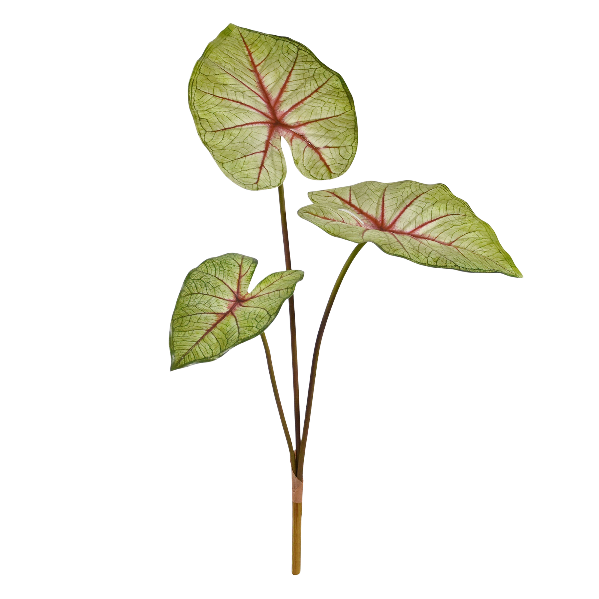 Caladium White Queen Kunstplant 60cm