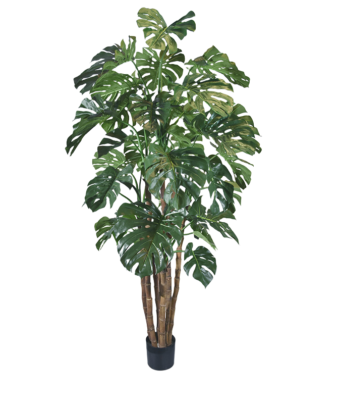 Monstera Giant deluxe kunstboom - 210 cm