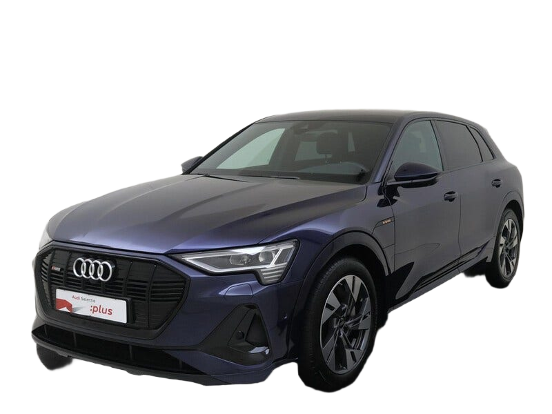 Audi e tron occasion
