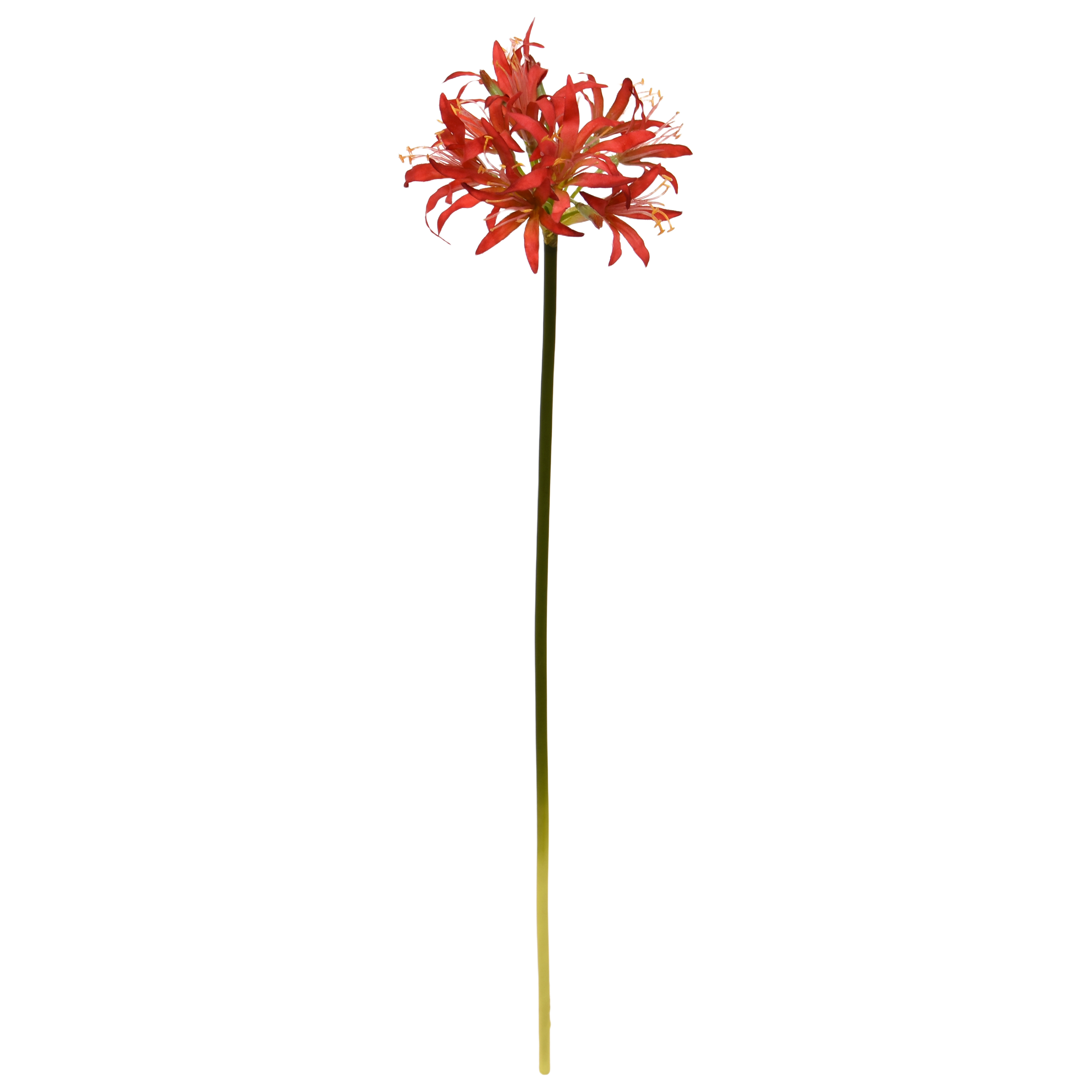 Nerine Lely Kunstbloem 70cm oranje