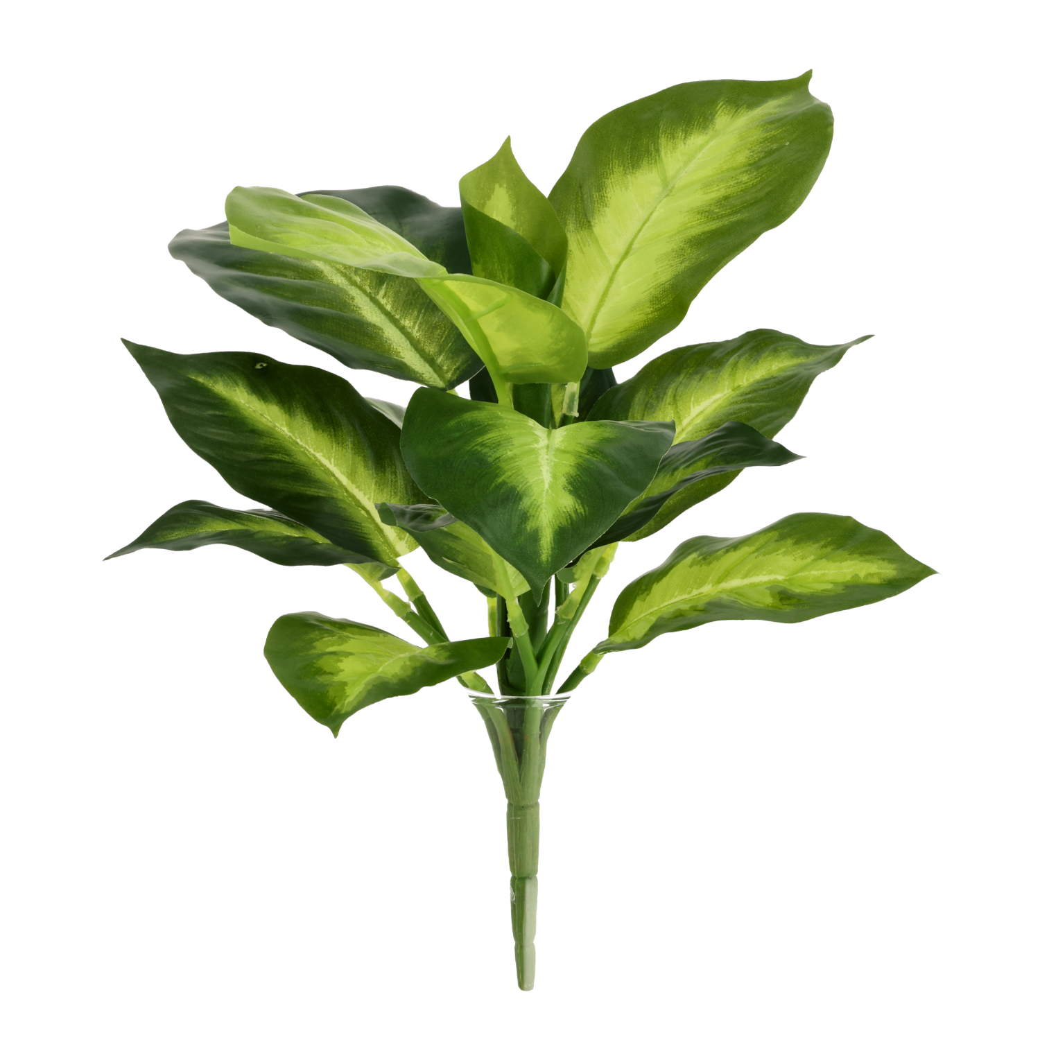 Dieffenbachia Kunstplant 25cm