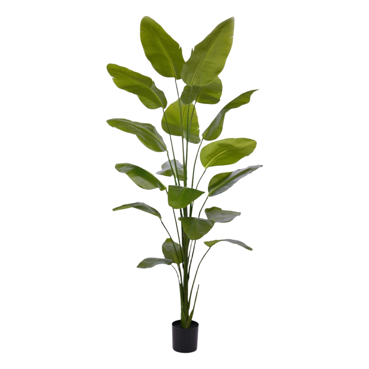Strelitzia Nicolai kunstplant 225cm