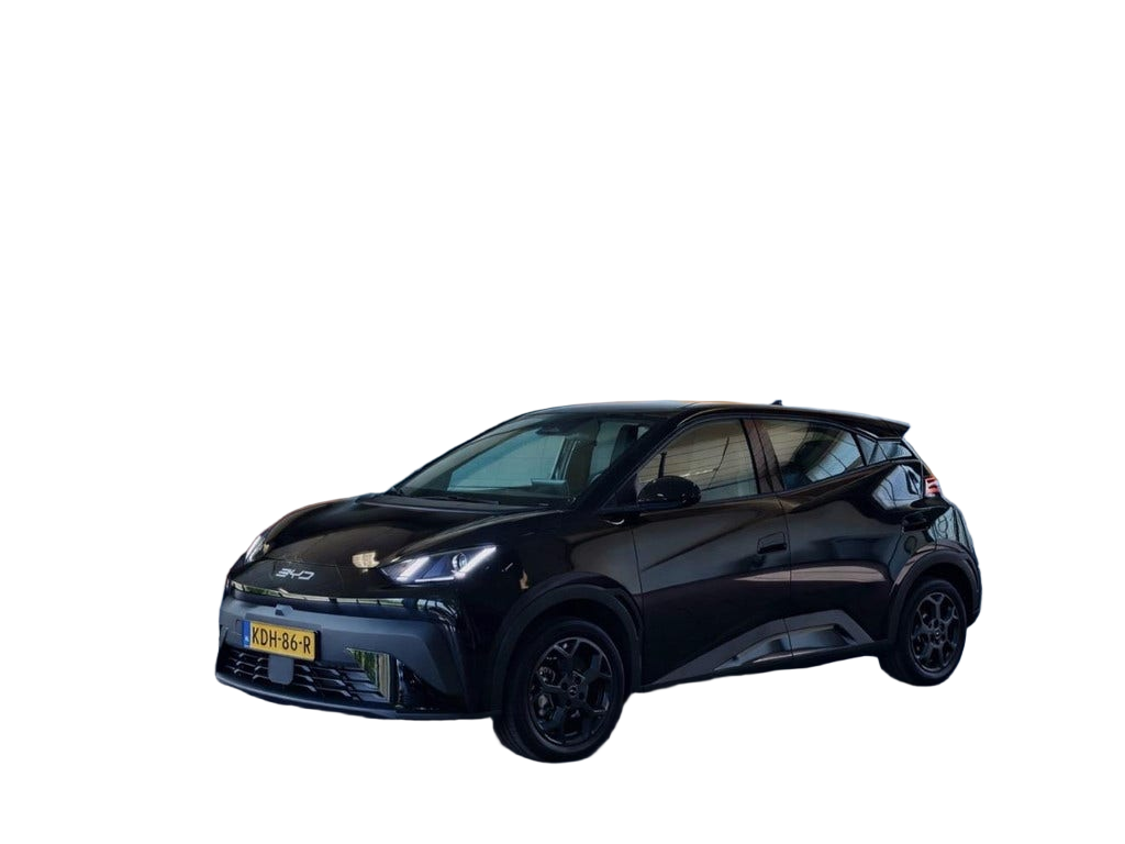 BYD DOLPHIN SURF