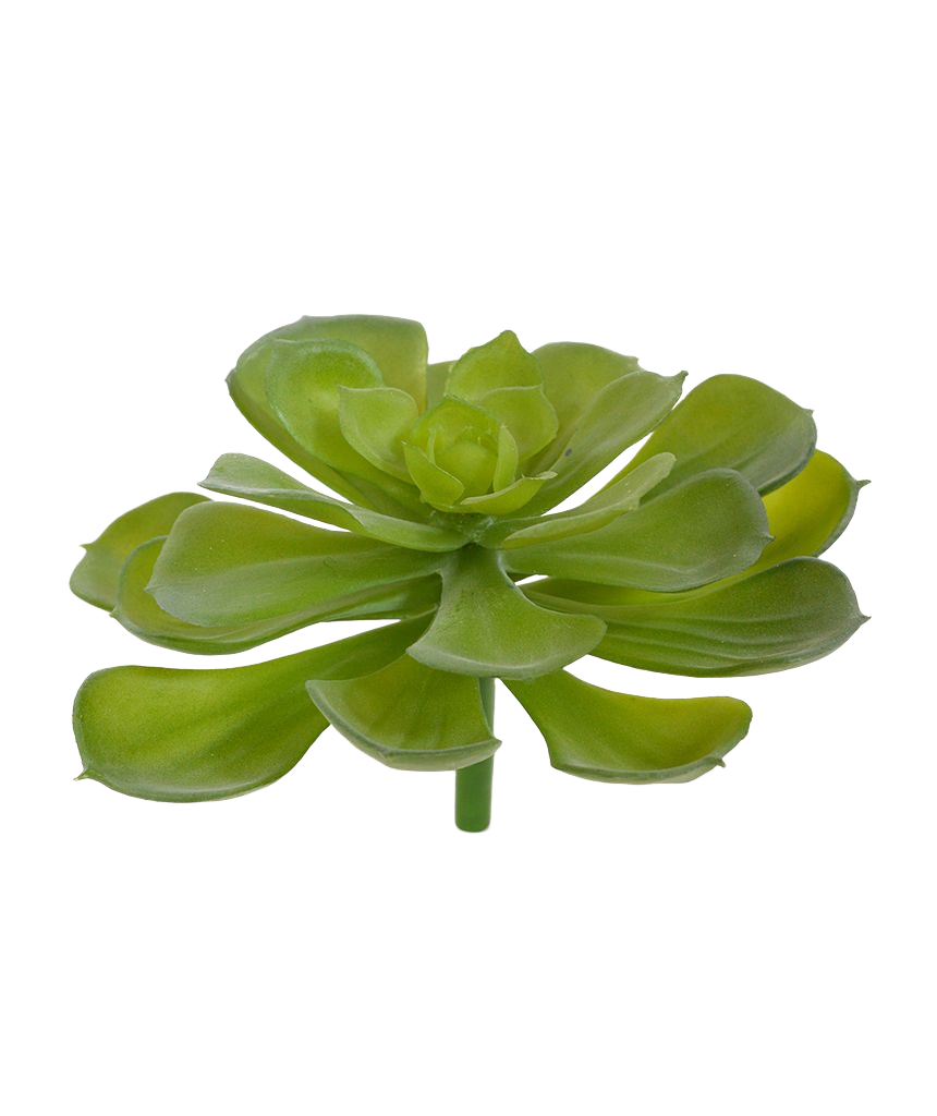 Echeveria Setosa kunstplant